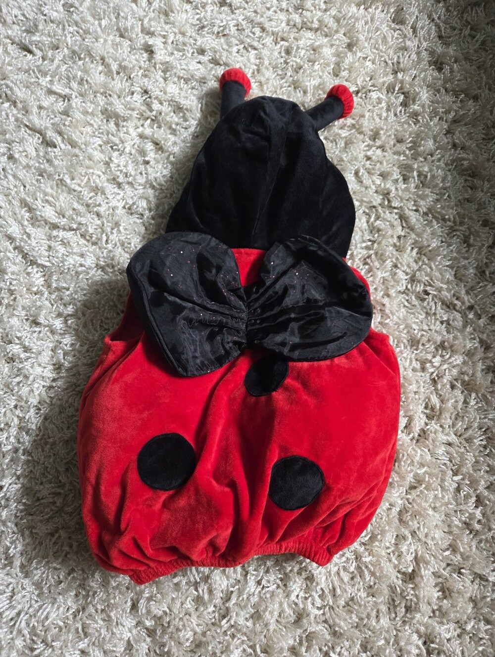 Lady Bug - Picture 3 of 3